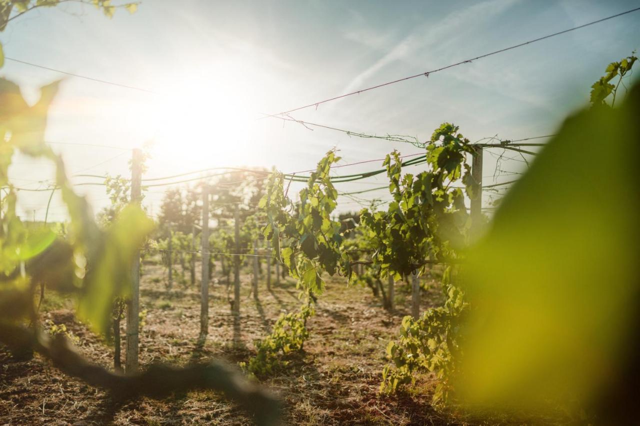 Masseria Agriturismo Il Sorriso Degli Ulivi - Dimora Di Charme Gallipoli Exterior foto