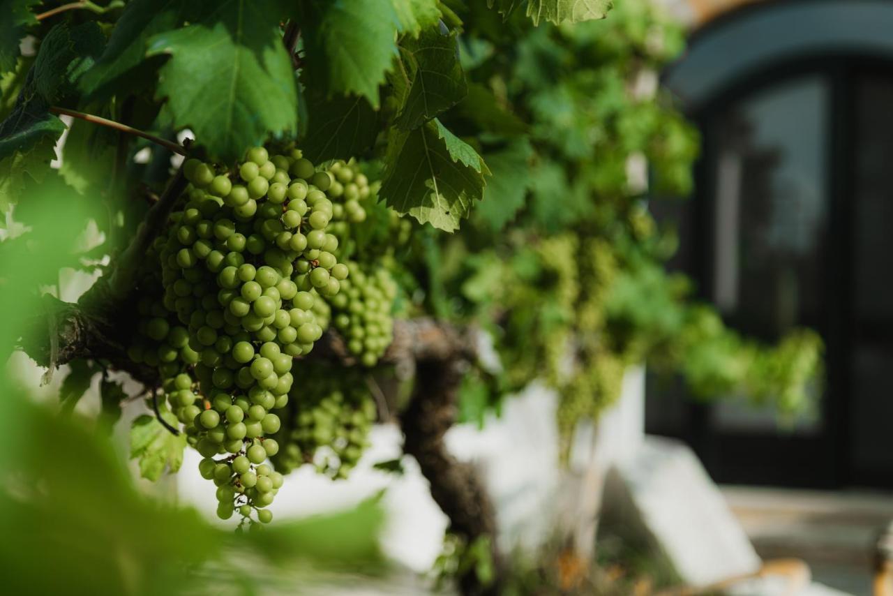 Masseria Agriturismo Il Sorriso Degli Ulivi - Dimora Di Charme Gallipoli Exterior foto